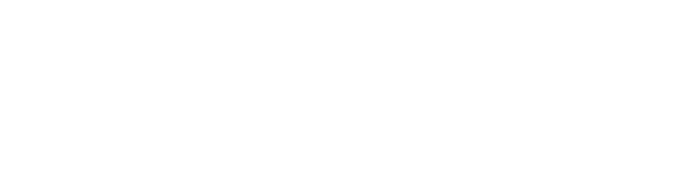 RapidSOS