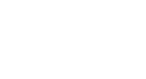 Volumental